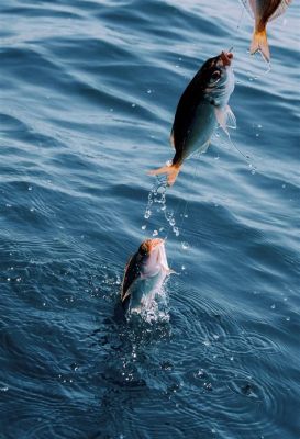 爲什麼中魚後老脫鉤？釣魚技巧與心理因素的微妙交織